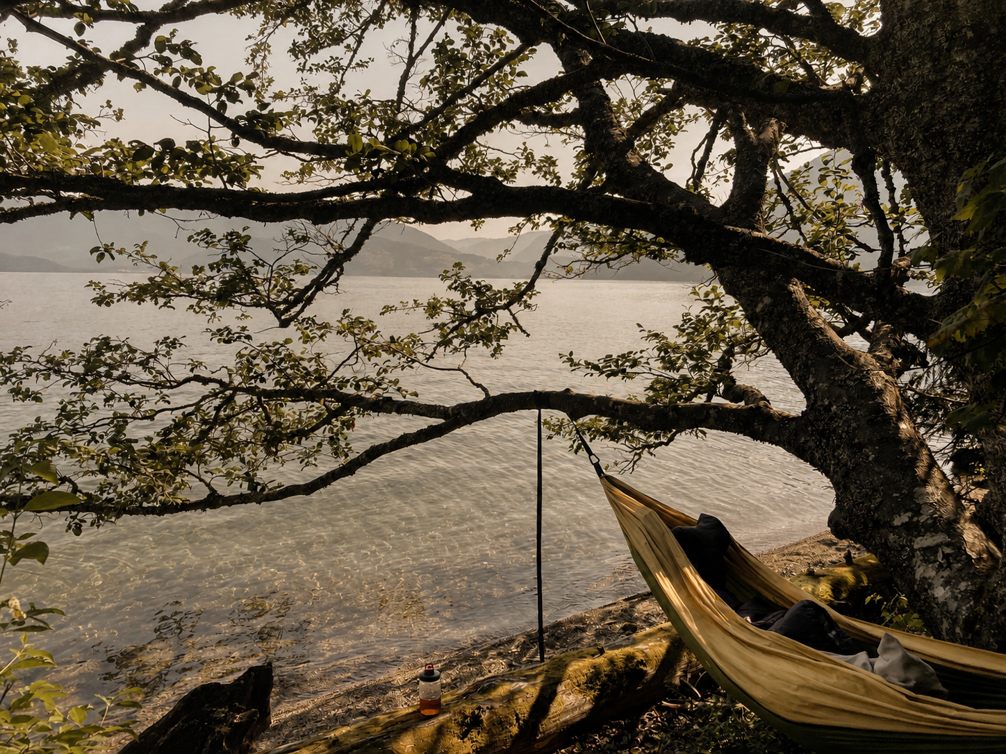 A hammock hangs beneath a lakeside tree during a Warriors Rest S.O.S. retreat.